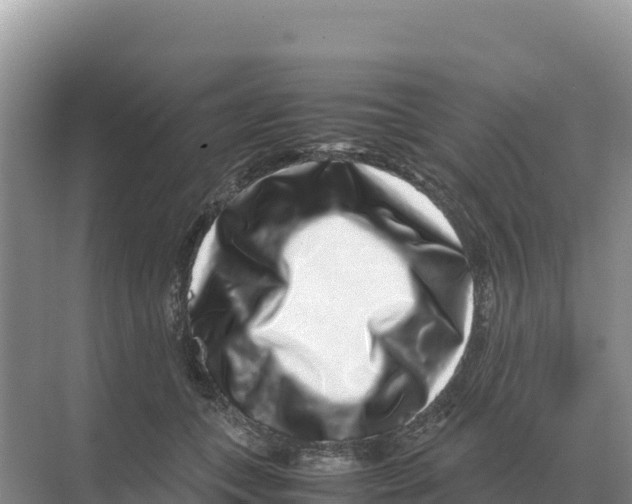 X0000070210559200606232107
