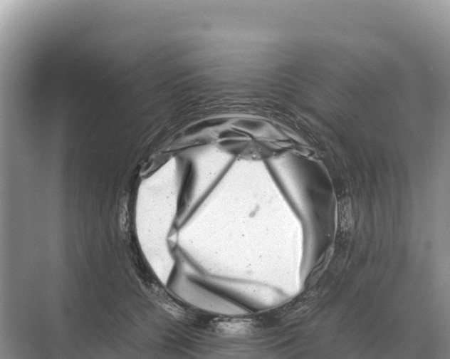 X0000070210560200606232107