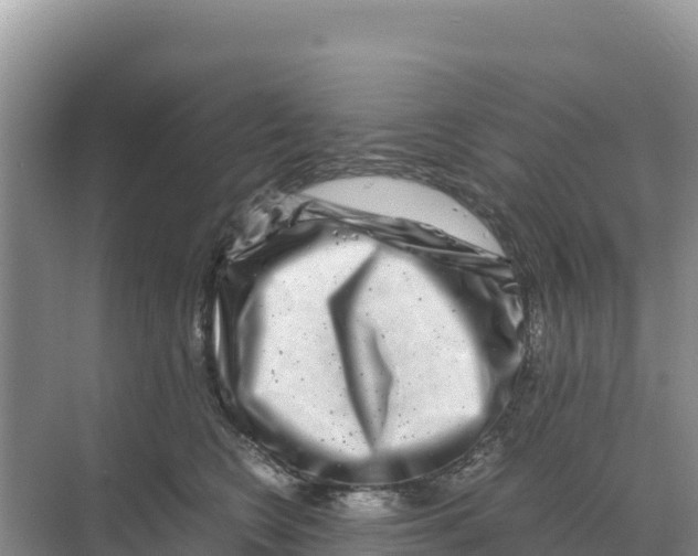 X0000070210566200606232107