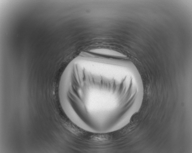 X0000070210567200606232107