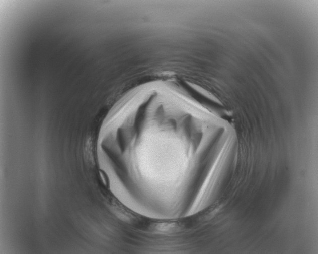 X0000070210575200606232108