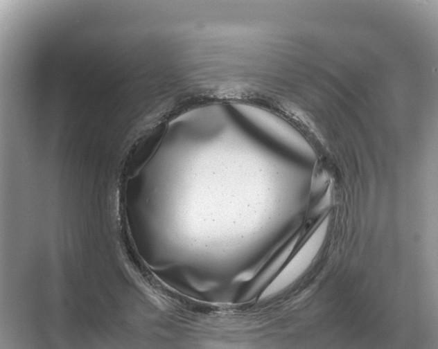 X0000070210589200606232107