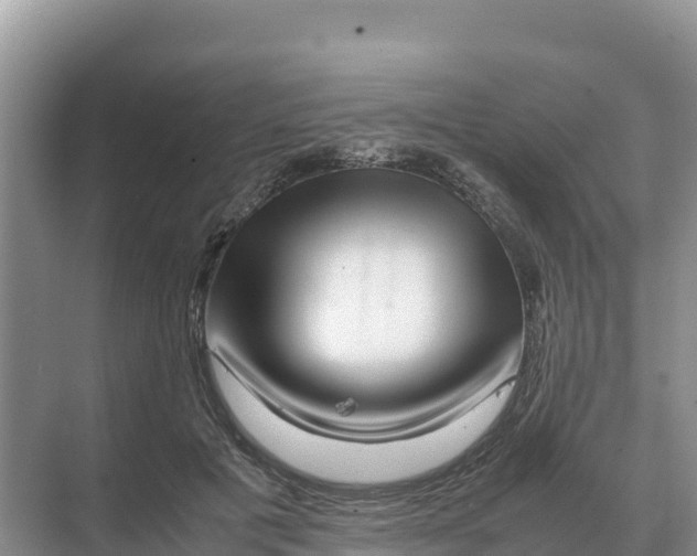 X0000070210601200606232106