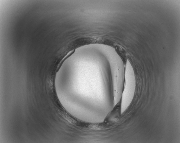 X0000070210613200606232106