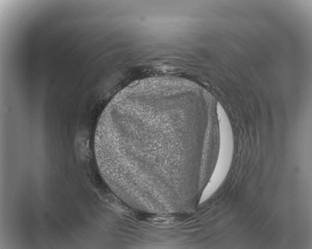 X0000070210615200606232106