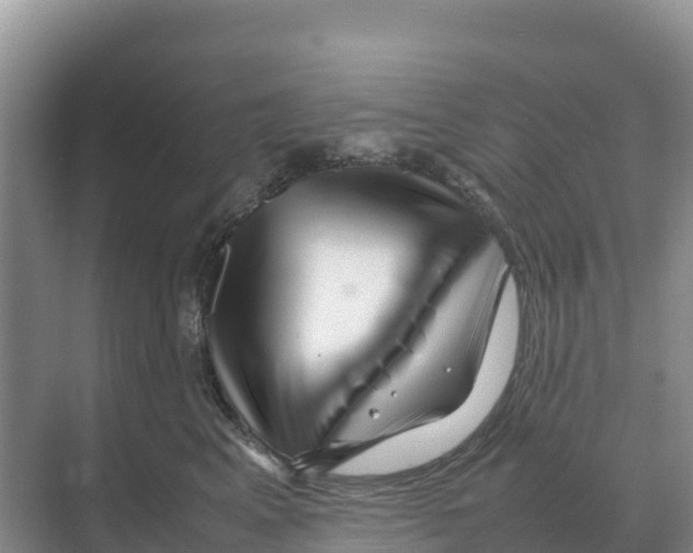 X0000070210617200606232106