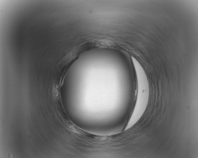 X0000070210621200606232106