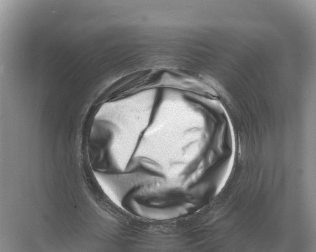 X0000070210627200606232105