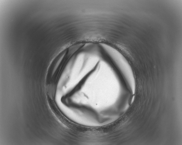 X0000070210630200606232105