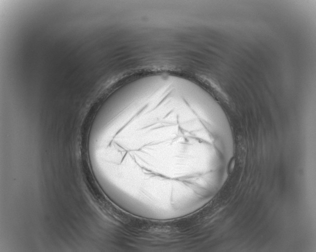 X0000070210631200606232105