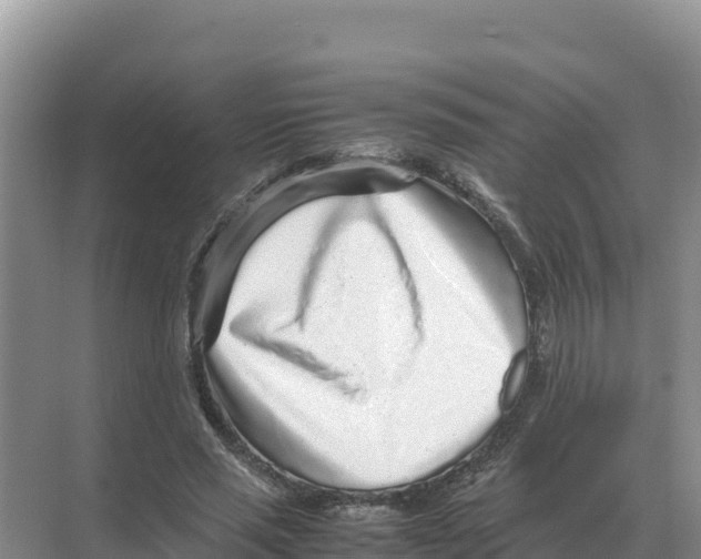 X0000070210637200606232105