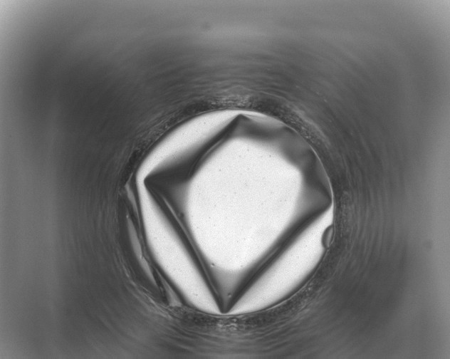X0000070210641200606232105