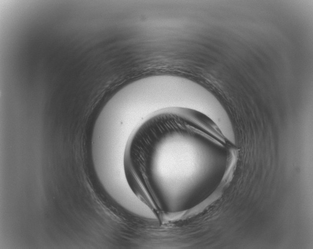 X0000070210642200606232106