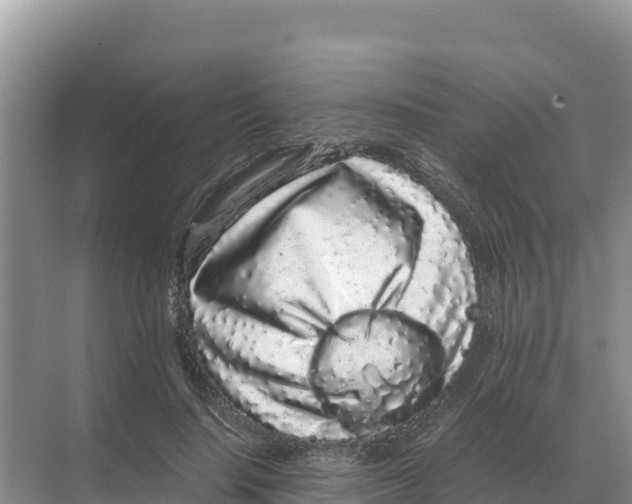 X0000070210644200606232106