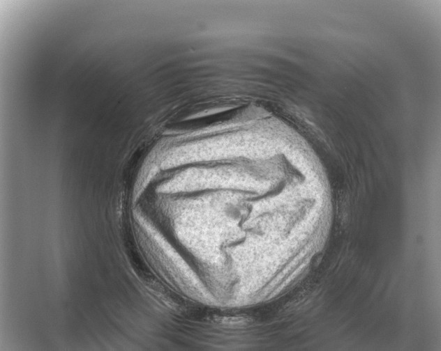 X0000070210645200606232106