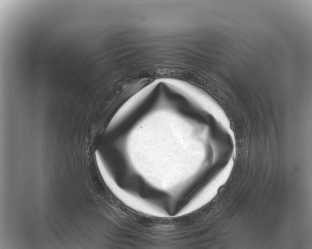 X0000070210653200606232106