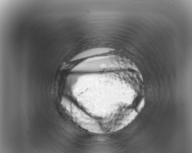 X0000070210654200606232106