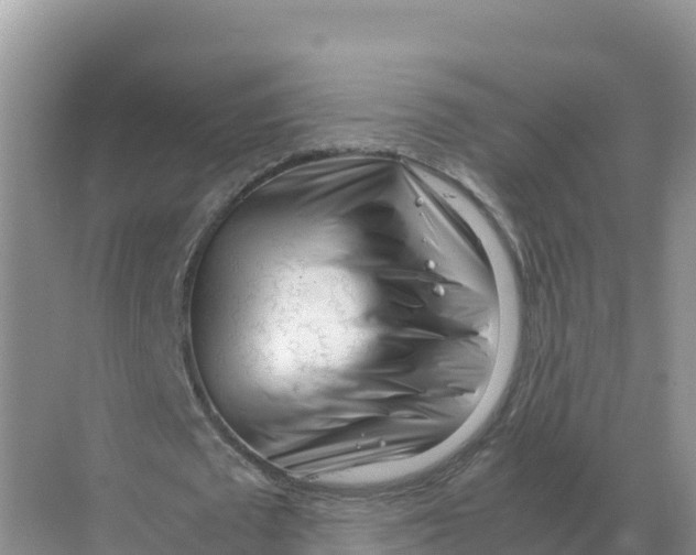 X0000070210673200606232105
