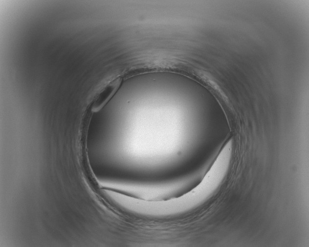 X0000070210677200606232105
