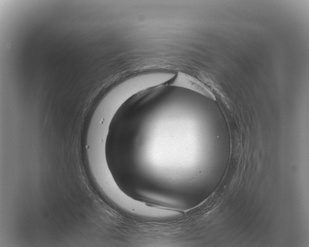 X0000070210681200606232105