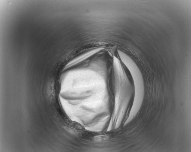 X0000070210700200606232105