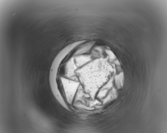 X0000070210720200606232104