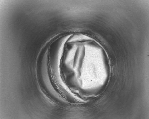 X0000070210722200606232104