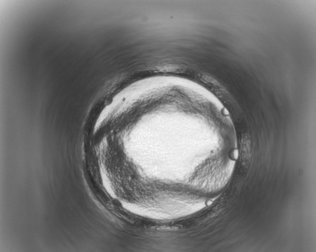 X0000070210734200606232104