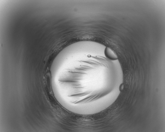 X0000070210743200606232104