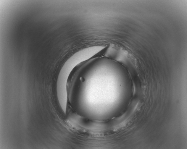 X0000070210750200606232104