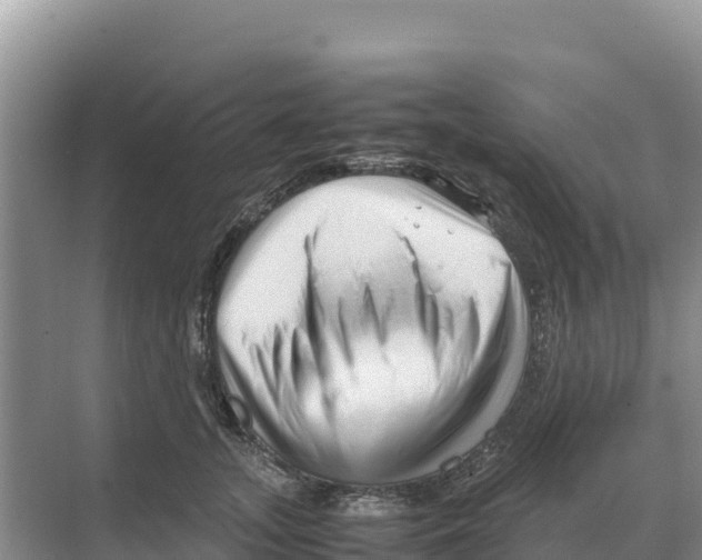 X0000070210755200606232104
