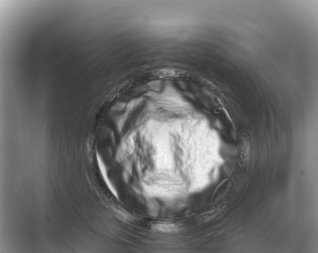 X0000070210759200606232104