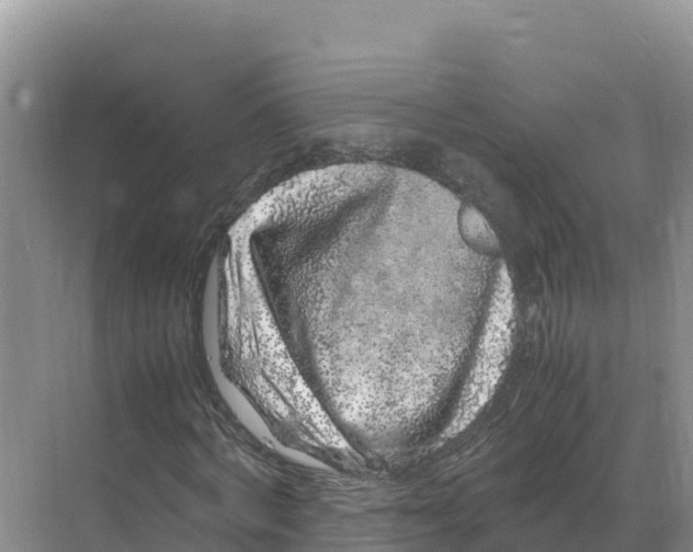 X0000070210772200606232104