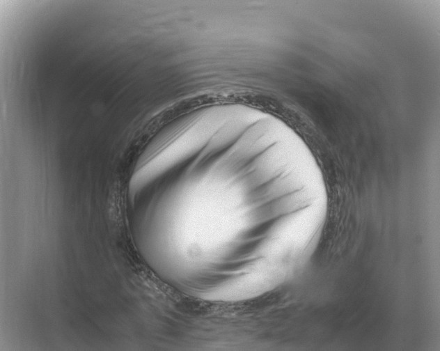 X0000070210773200606232104