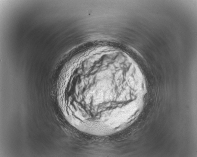 X0000070210775200606232103