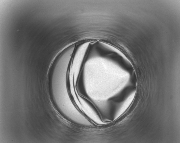 X0000070210779200606232103