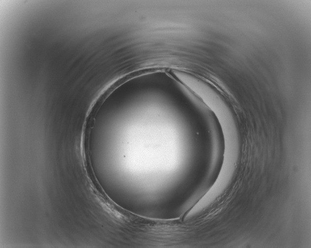 X0000070210788200606232103