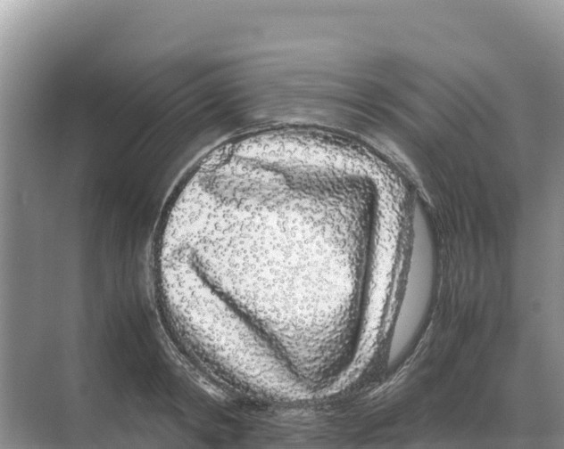 X0000070210798200606232103