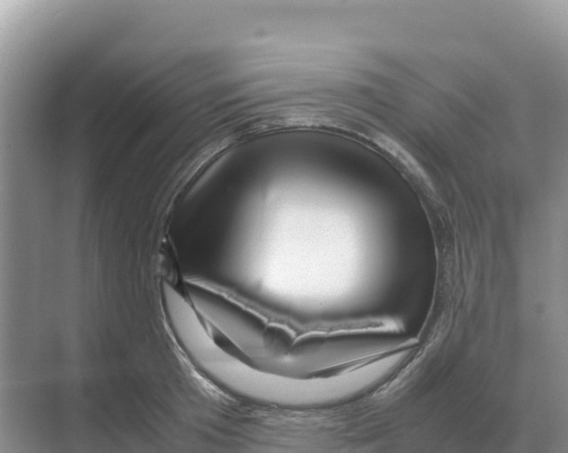 X0000070210801200606232103