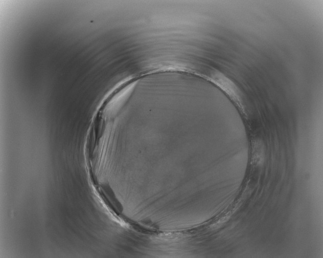 X0000070210806200606232103
