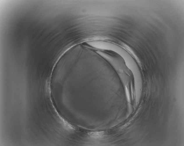 X0000070210810200606232103