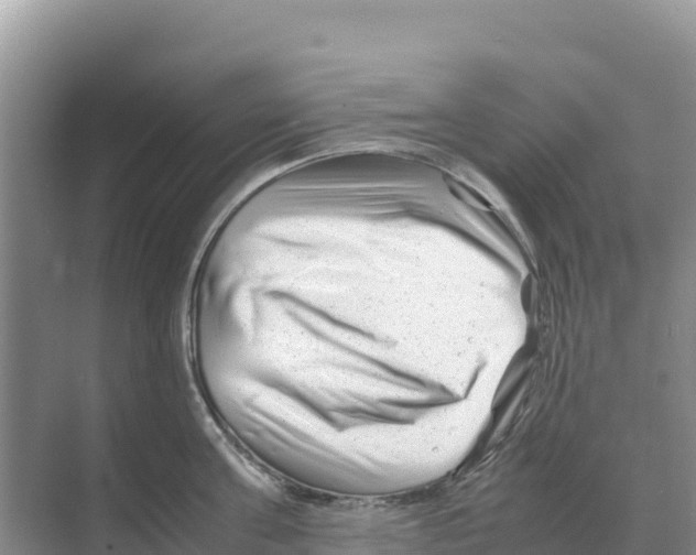 X0000070210811200606232103