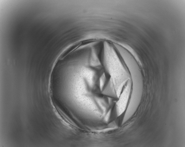 X0000070210815200606232103