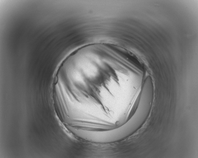 X0000070210816200606232103