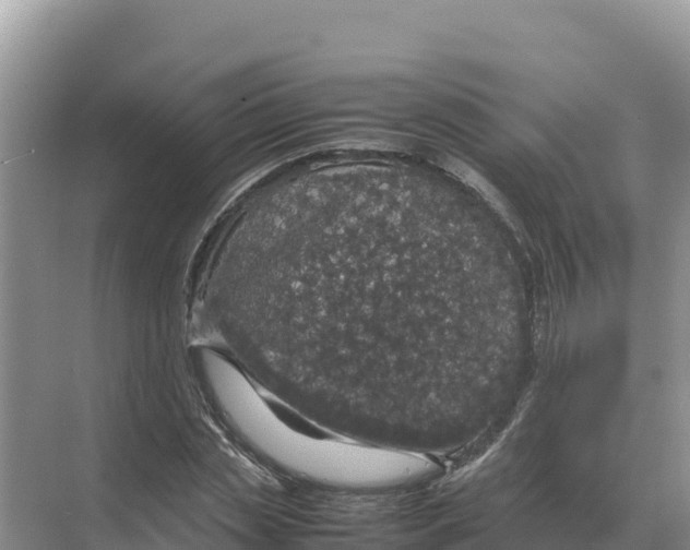 X0000070210829200606232102
