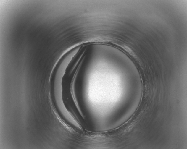 X0000070210838200606232102