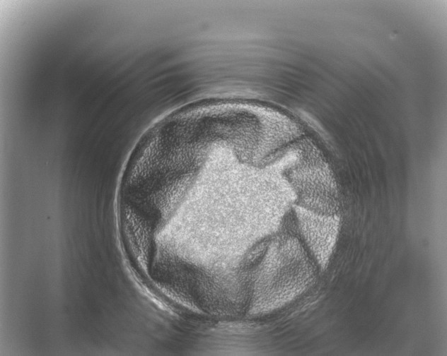 X0000070210840200606232102