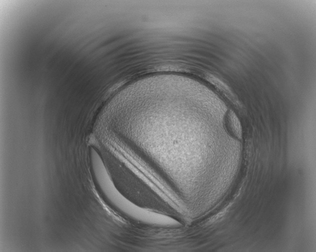 X0000070210841200606232102
