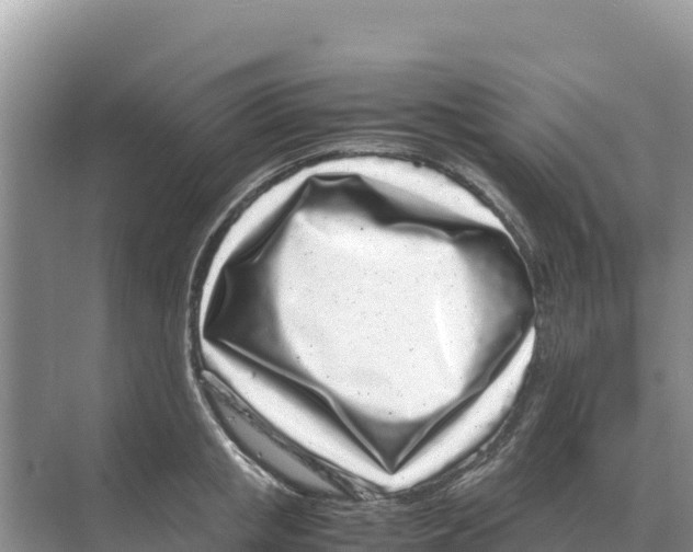 X0000070210853200606232103