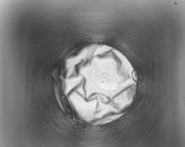 X0000070210866200606232102